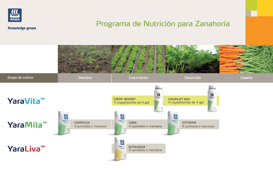 Programa de Zanahoria.PNG