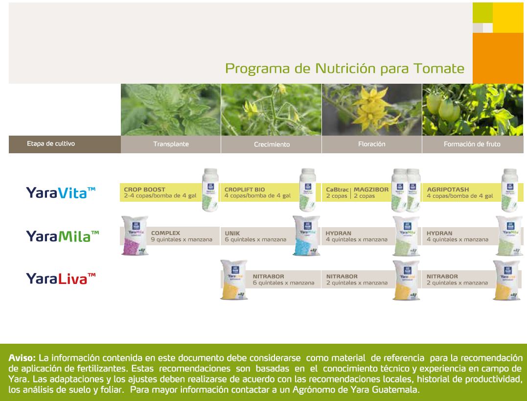 Tomate Programa Nutricional