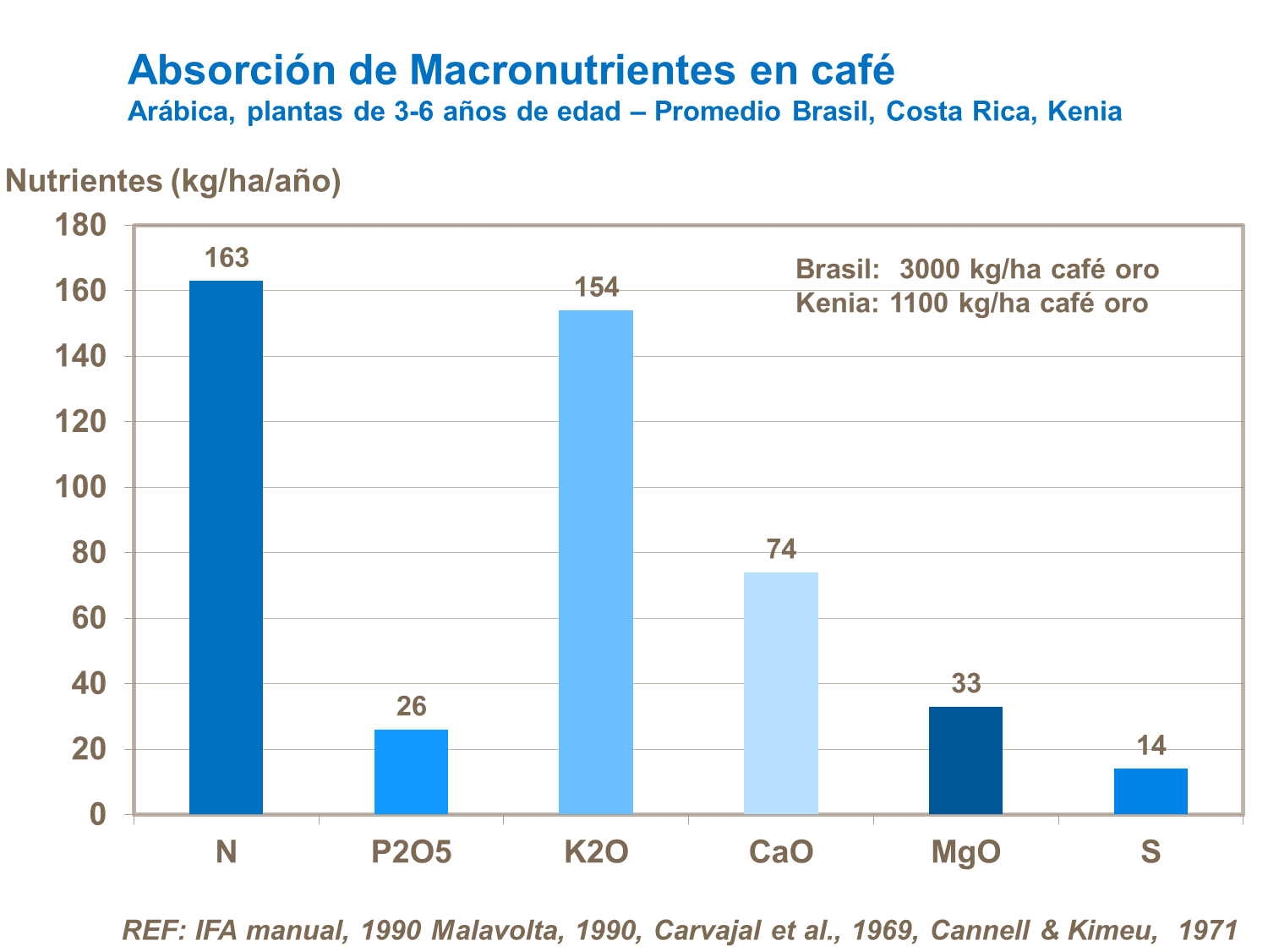Absorción de Macronutrientes en café