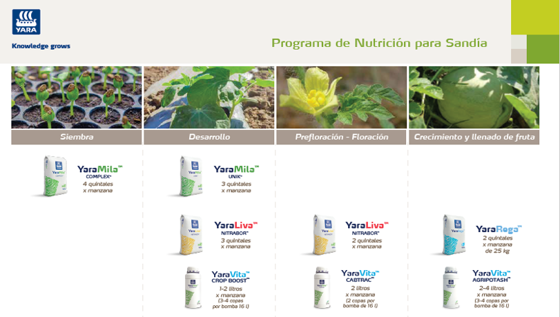 Sandia Programa Nutricional