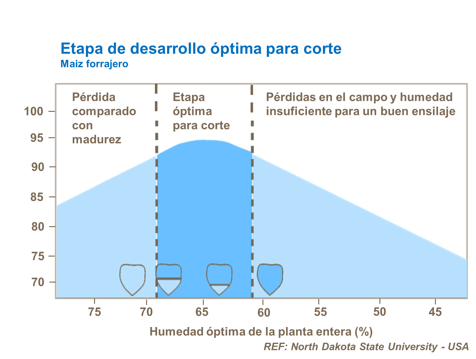 Desarrollo optimo para corte