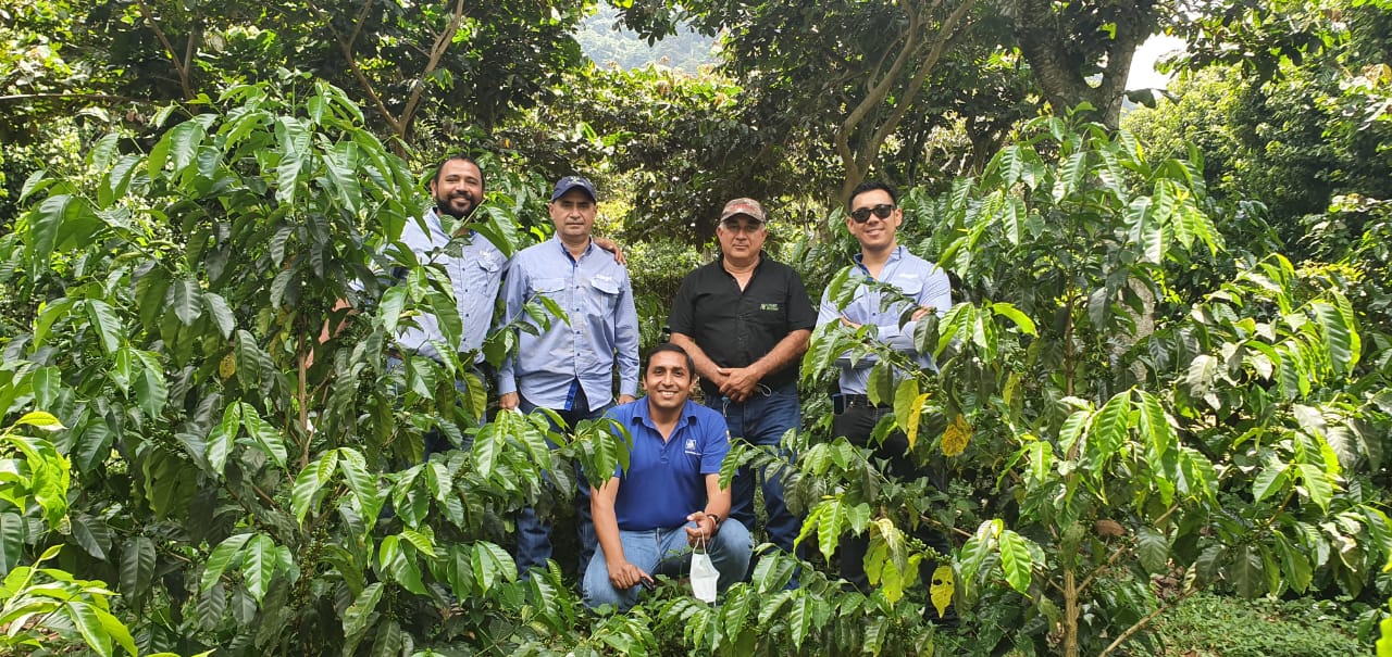 Guatemala_Honduras_Proyecto Caf&eacute; Resiliente Nestl&eacute; Anacaf&eacute;.jpg