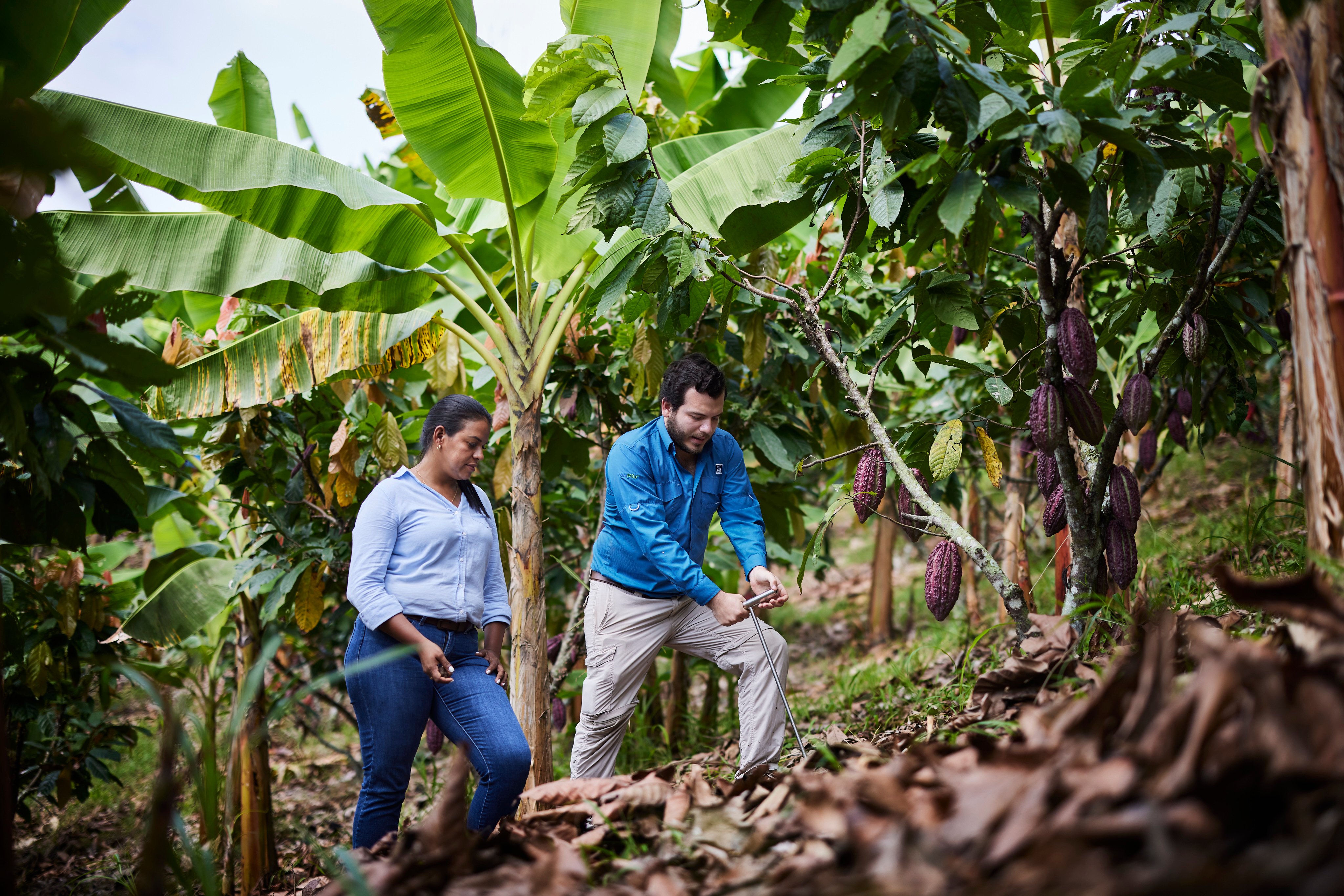 Marjorie Franco y Gustavo Pazmiño de Yara tomando una muestra suela