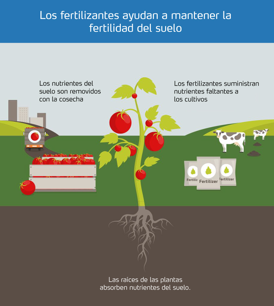Ciclo del nutriente en el suelo