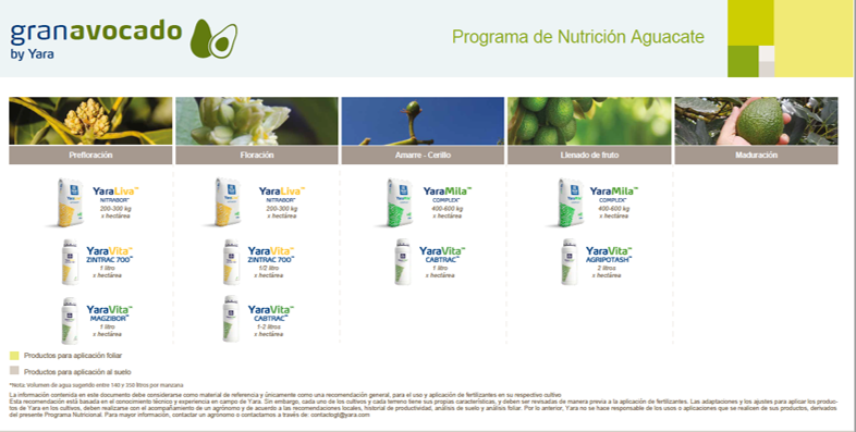 Plan Nutricional Aguacate