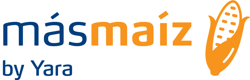 MásMaíz